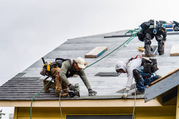 Professional Gutter Installation technician working in Lexington, MO